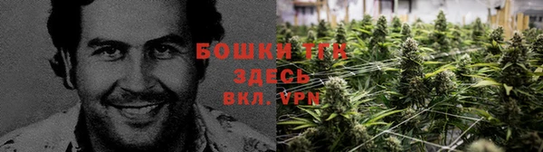 гидропоника Володарск